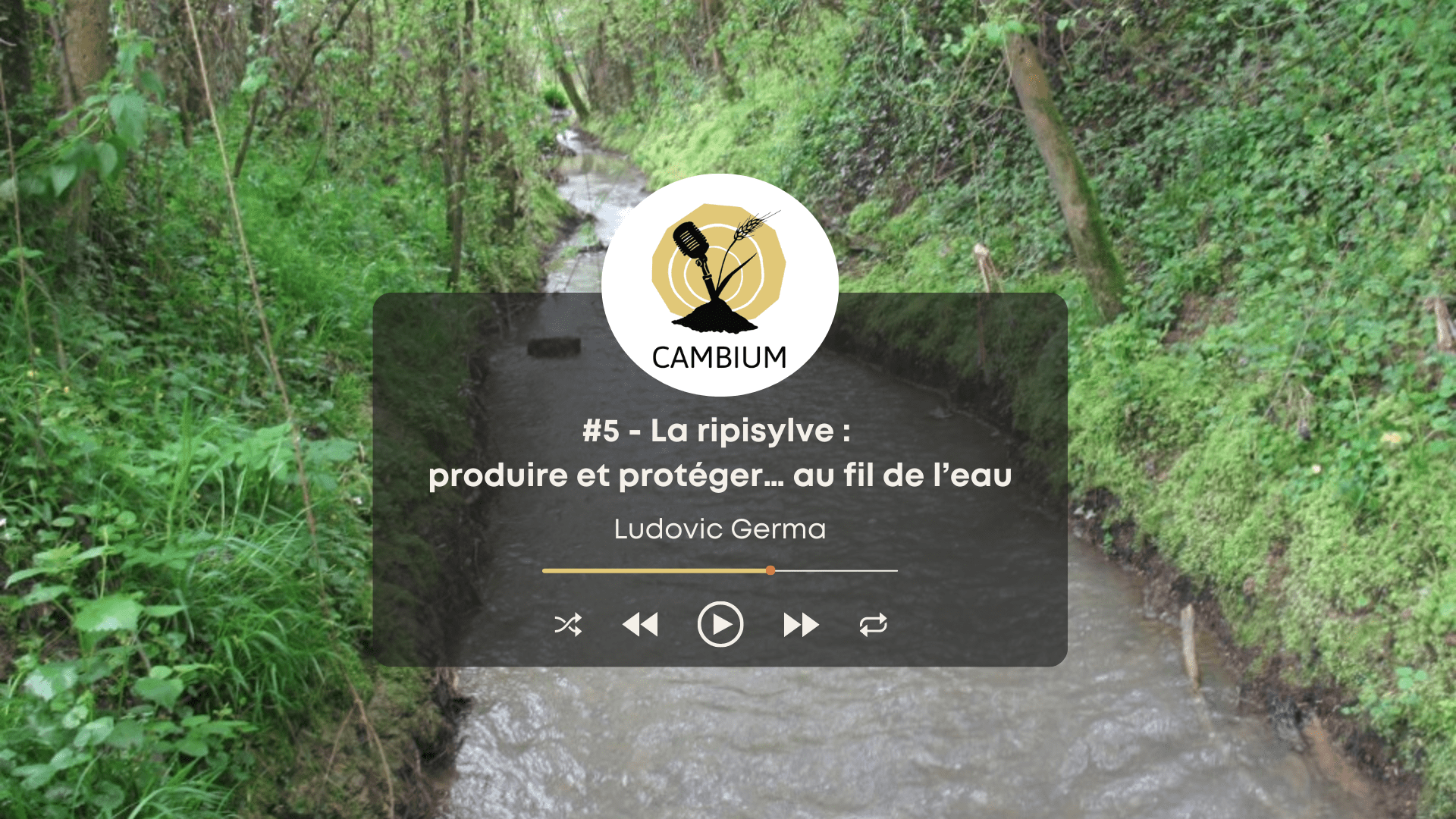 Vignette de l'épisode 5 de Cambium.