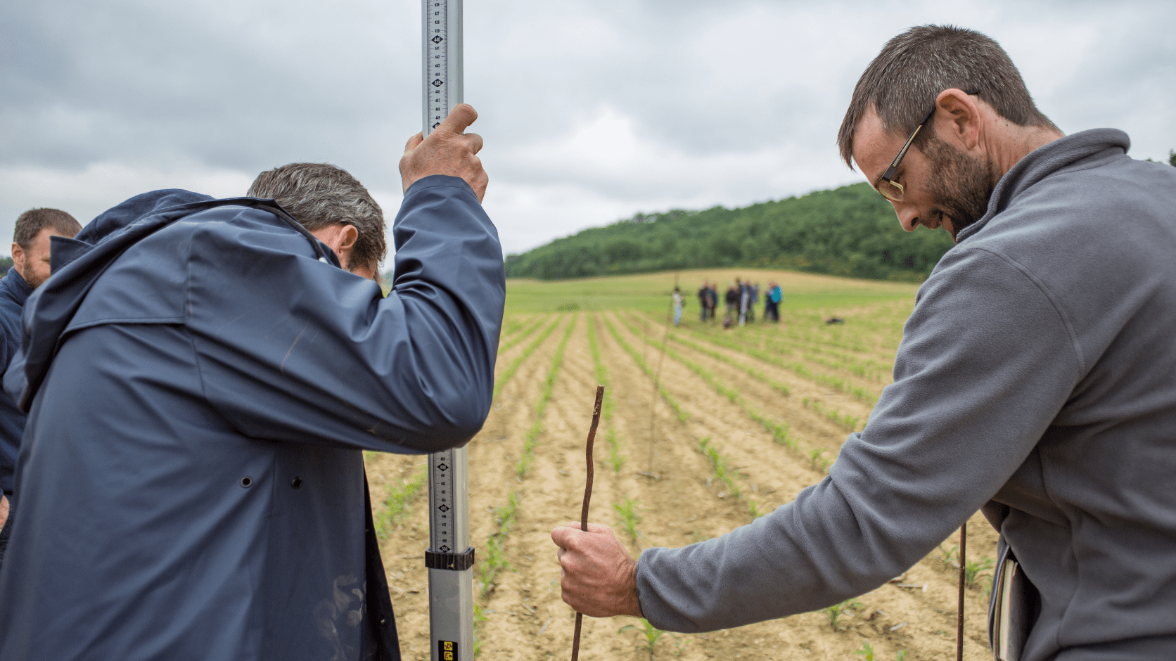 Deux apprenants en train d'effectuer des mesures dans un champ.