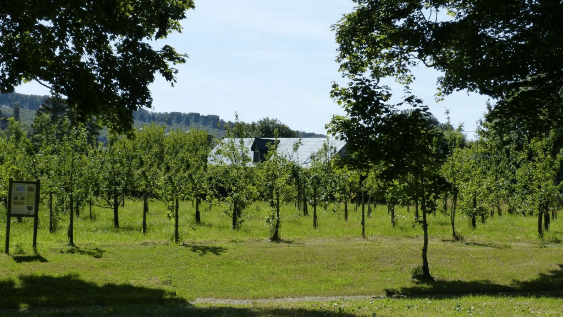 Alignements d'arbres au coeur du domaine de Merval.