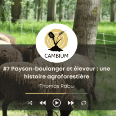 Vignette de l'épisode 7 de cambium avec Thomas Rabu