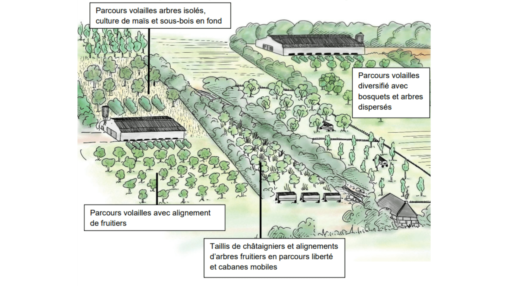 Schéma présentant les éléments présents dans un parcours volailles.