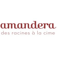Logotype AMANDERA