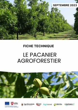 Pacanier agroforestier - fiche technique