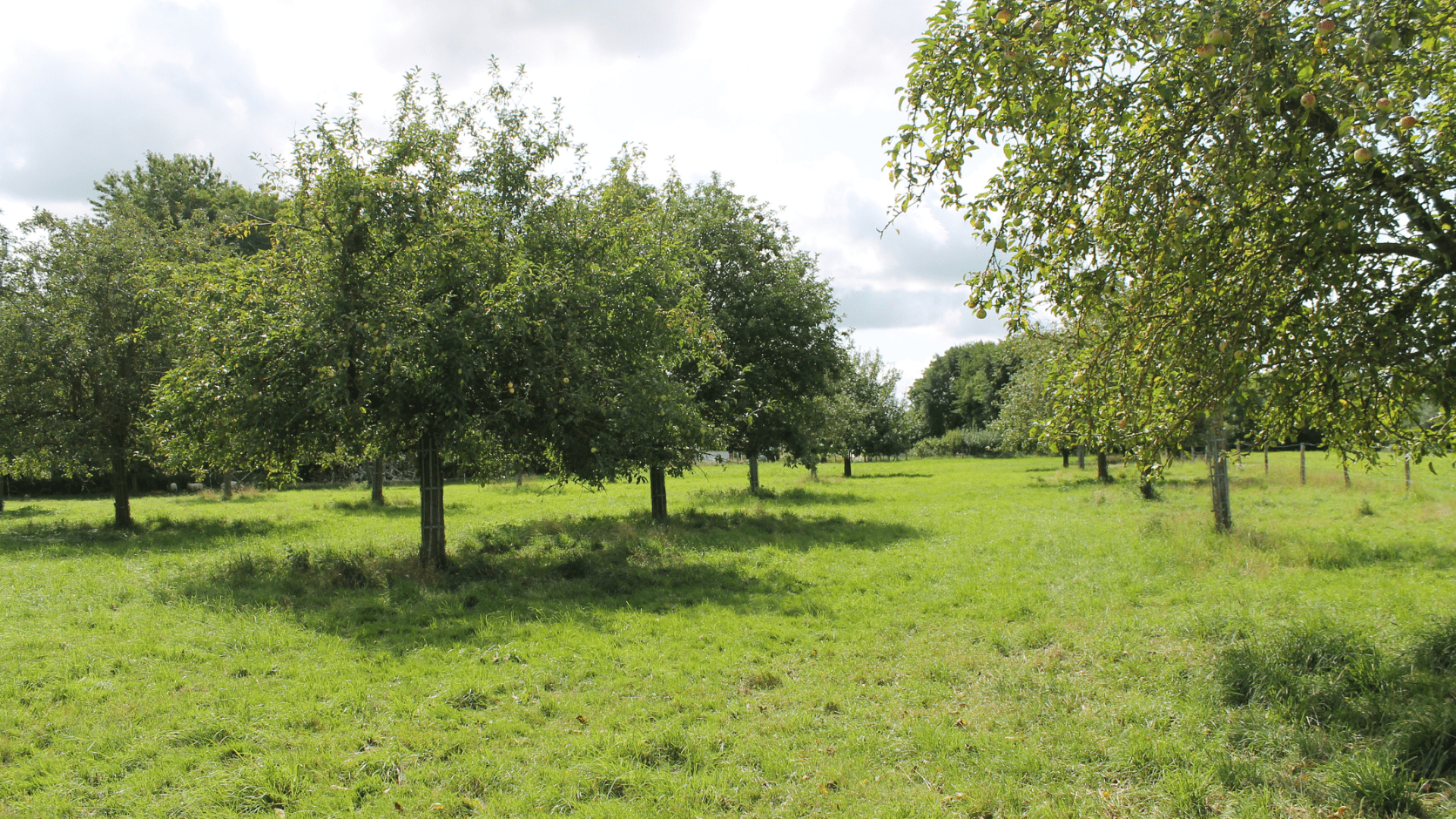 Verger de la Ferme Plaine de vie