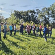 Visite de la ferme agroforestière de la solive