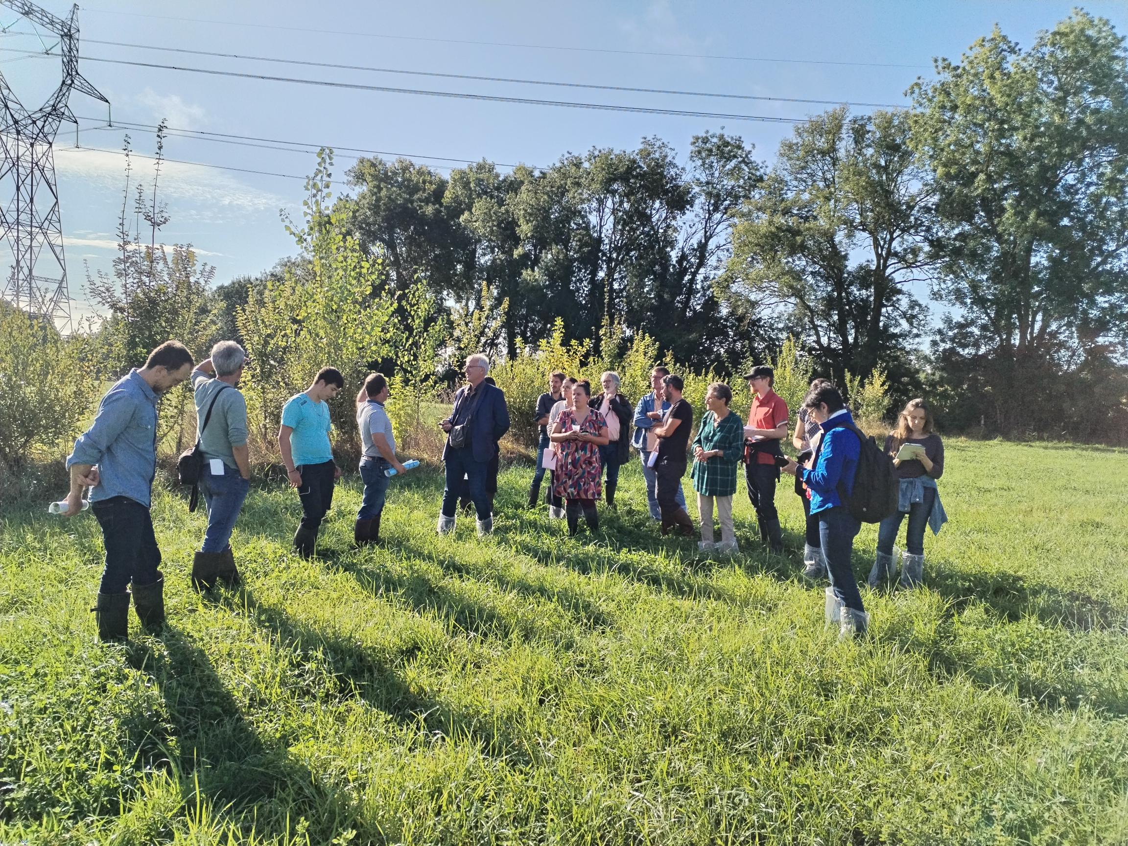 Visite de la ferme agroforestière de la solive