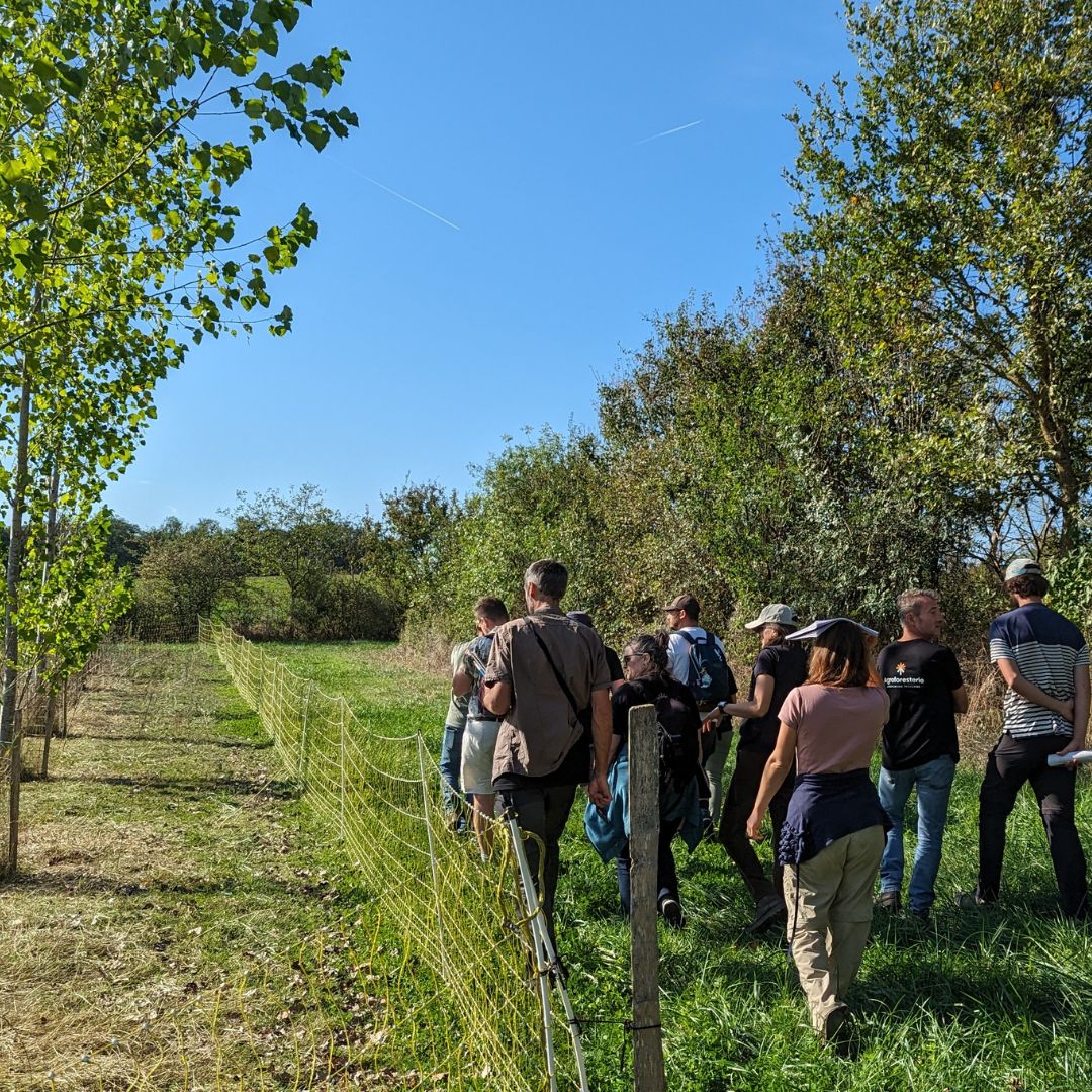 Groupe marchant dans un champ