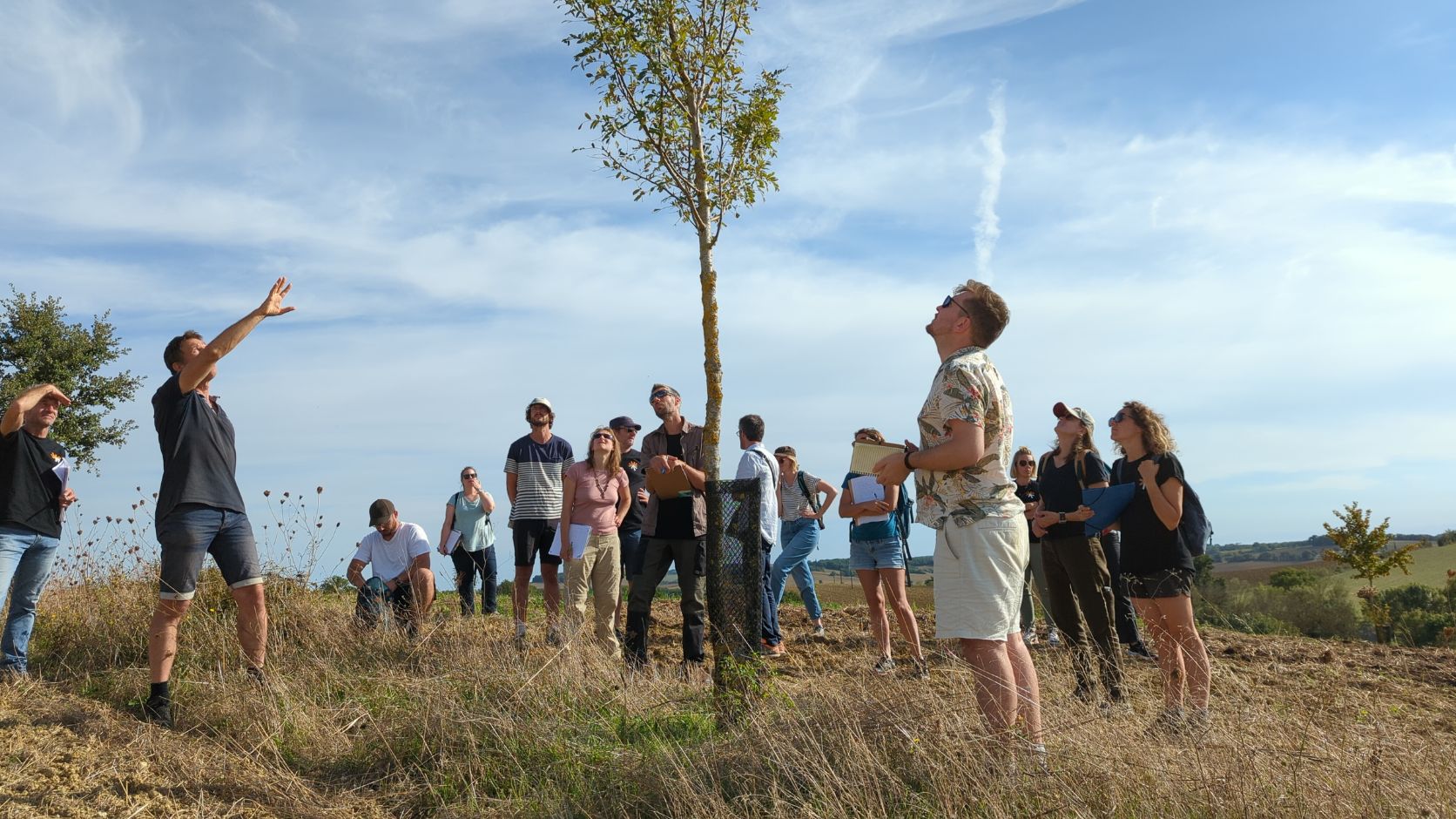 observation d'un arbre