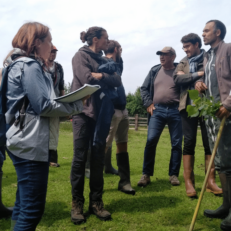 Groupe en formation sur les fourrages ligneux avec Adrien Messéan.