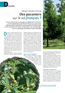 Article French Pecan dans l'arboriculture