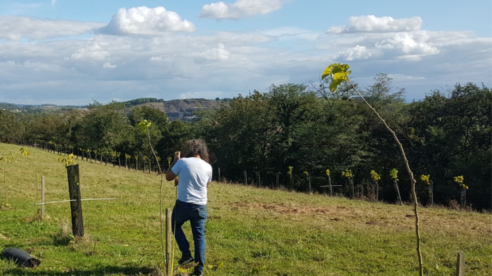 plantation chez un agricutleur