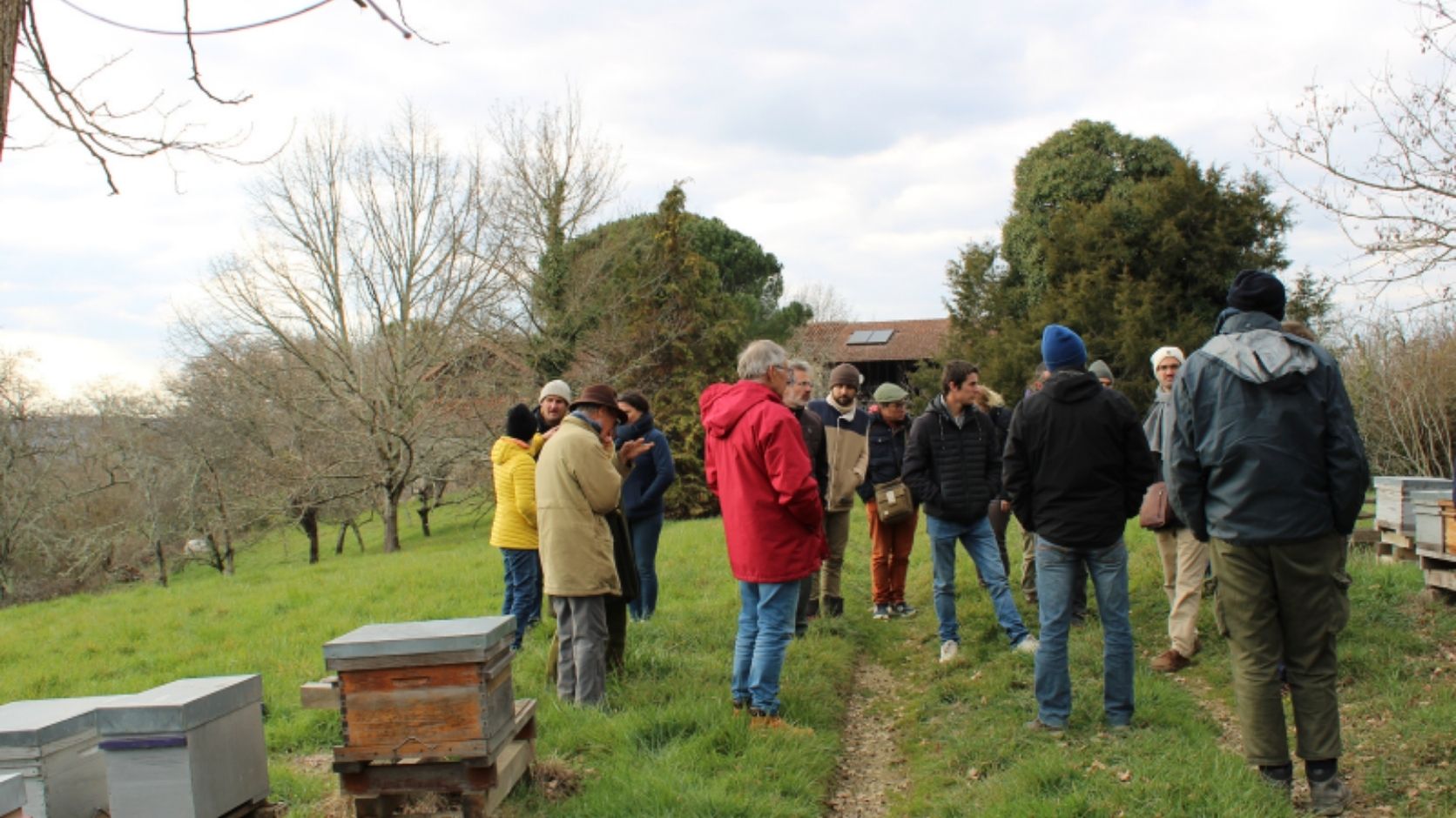 groupe devant des ruches