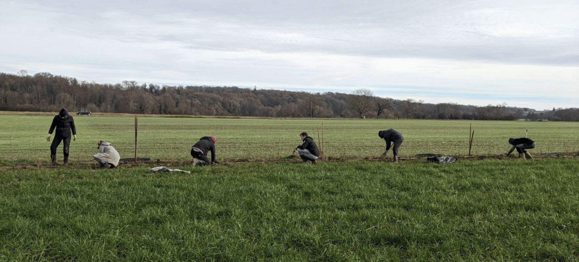 Chantier de plantation collectif lors de la semaine de l'EFA dans la Meuse