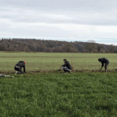Chantier de plantation collectif lors de la semaine de l'EFA dans la Meuse