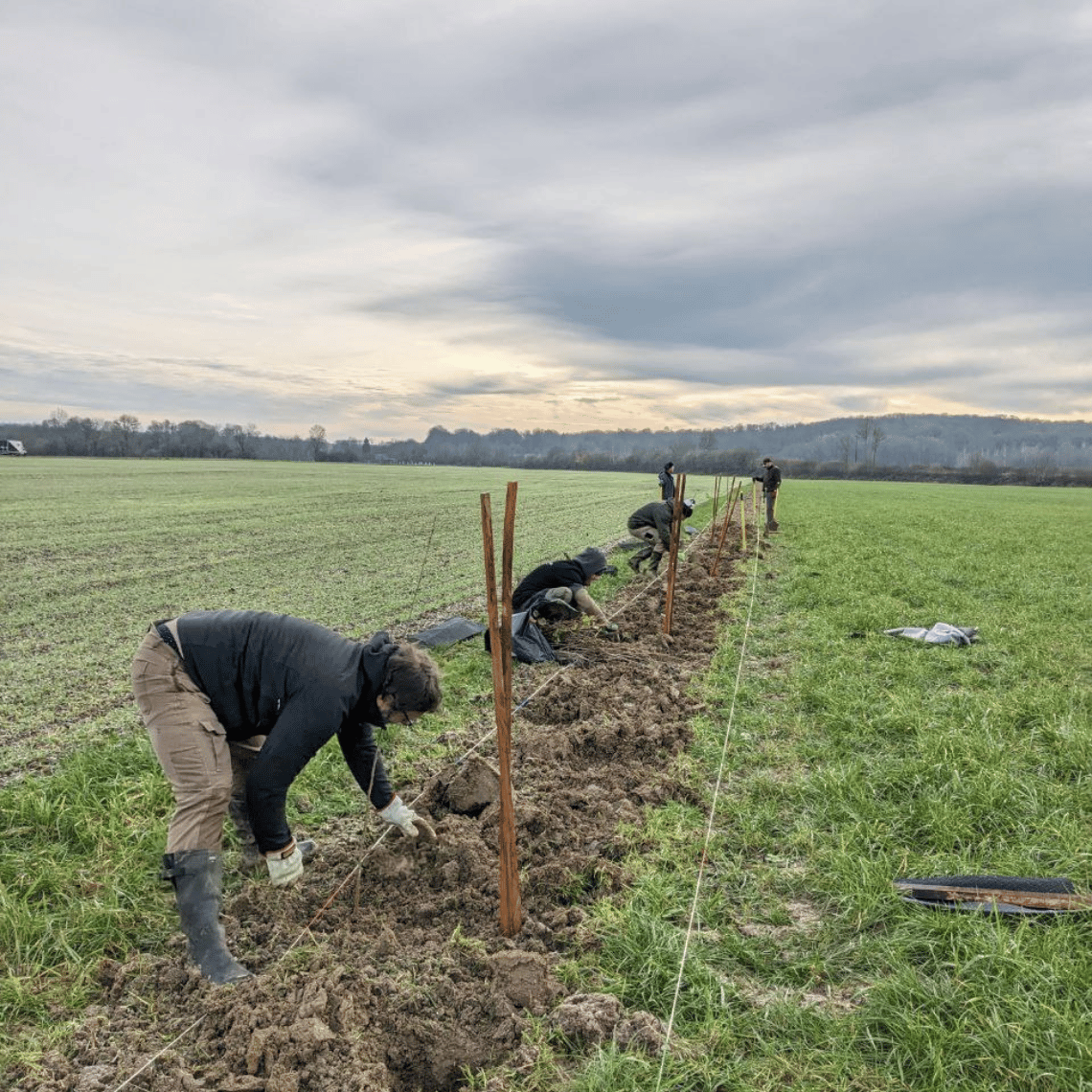 Chantier de plantation des apprenants de l'EFA dans la Meuse.