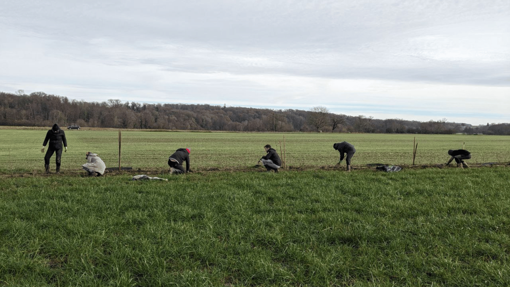 Chantier collectif de plantation des apprenants de l'EFA dans la Meuse.