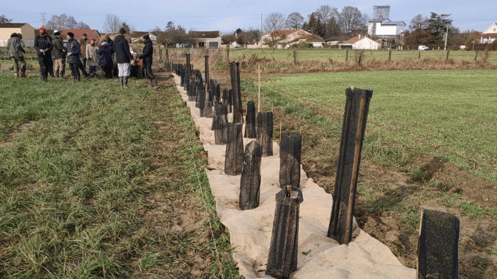Résultat du chantier de plantation des apprenant de l'EFA dans la Meuse.