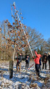 Façonnage d'un arbre de haut-jet lors d'une session terrain de l'EFA.