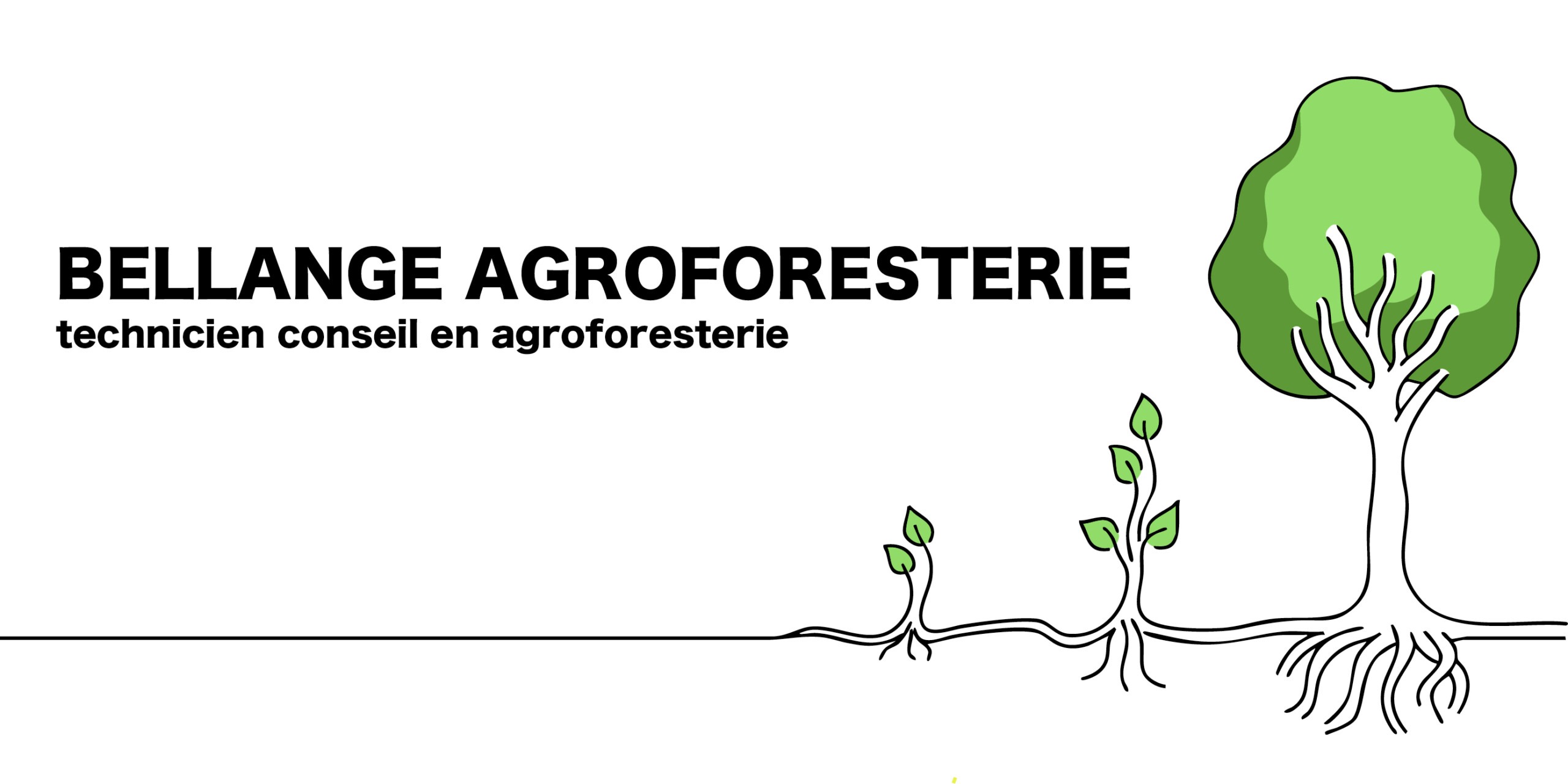 logo Bellange agroforesterie
