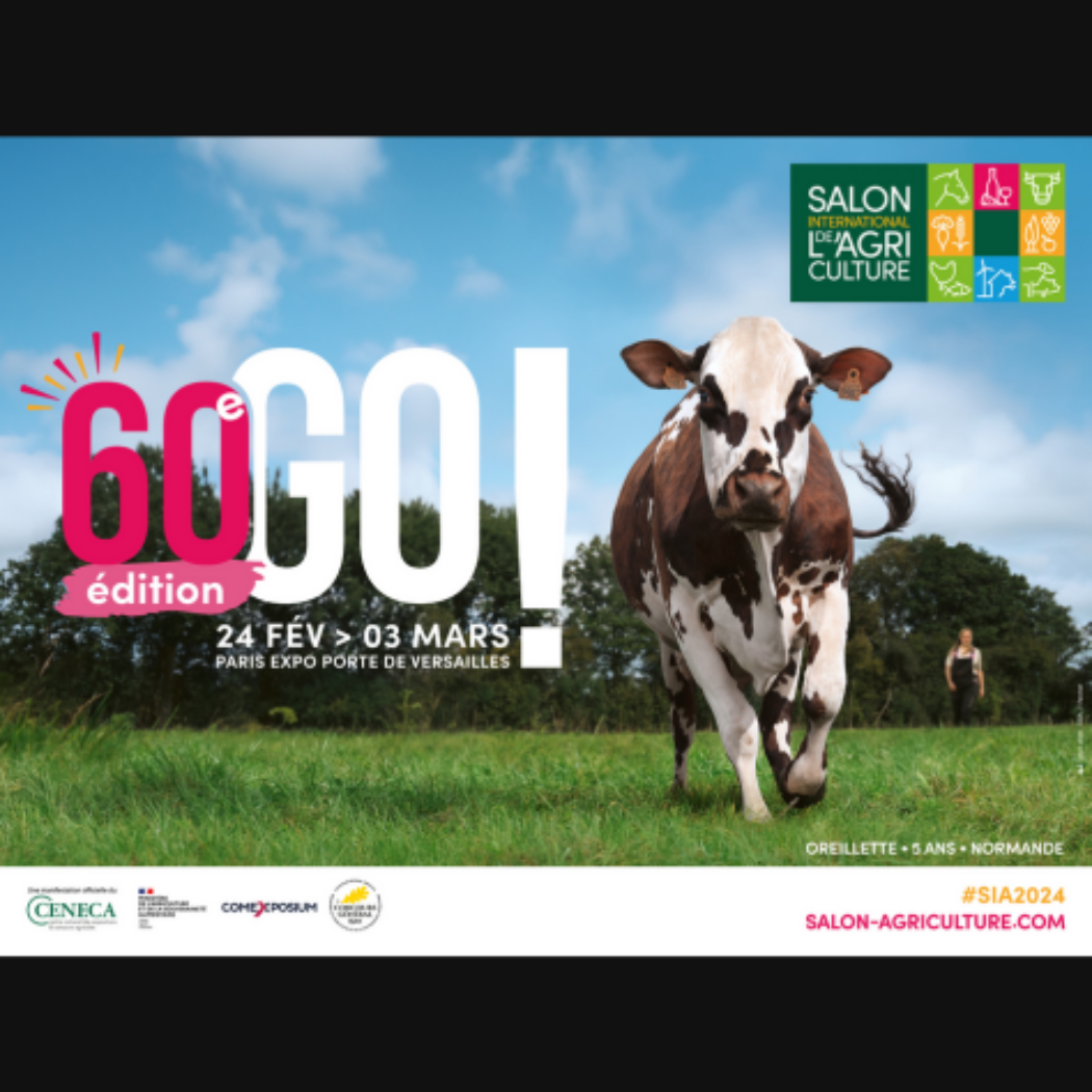 Spectacular La Fenagri Organise La 1re Édition De L'agro Export Day Moment Digital Art Spectacular La Fenagri Organise La 1re Édition De L'agro Export Day Moment Digital Art