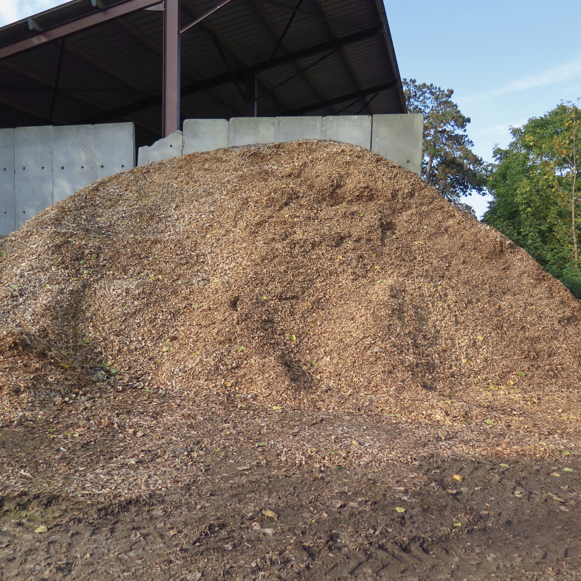 Amoncellement de bois déchiqueté à la ferme Dilard.