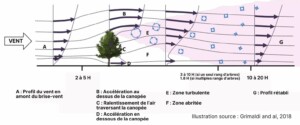 circulation de l'air en vitiforesterie