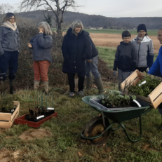 Première plantation du projet Mayage chez Marie-Claire Gotti.