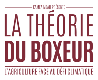 Logo film la théorie du boxer