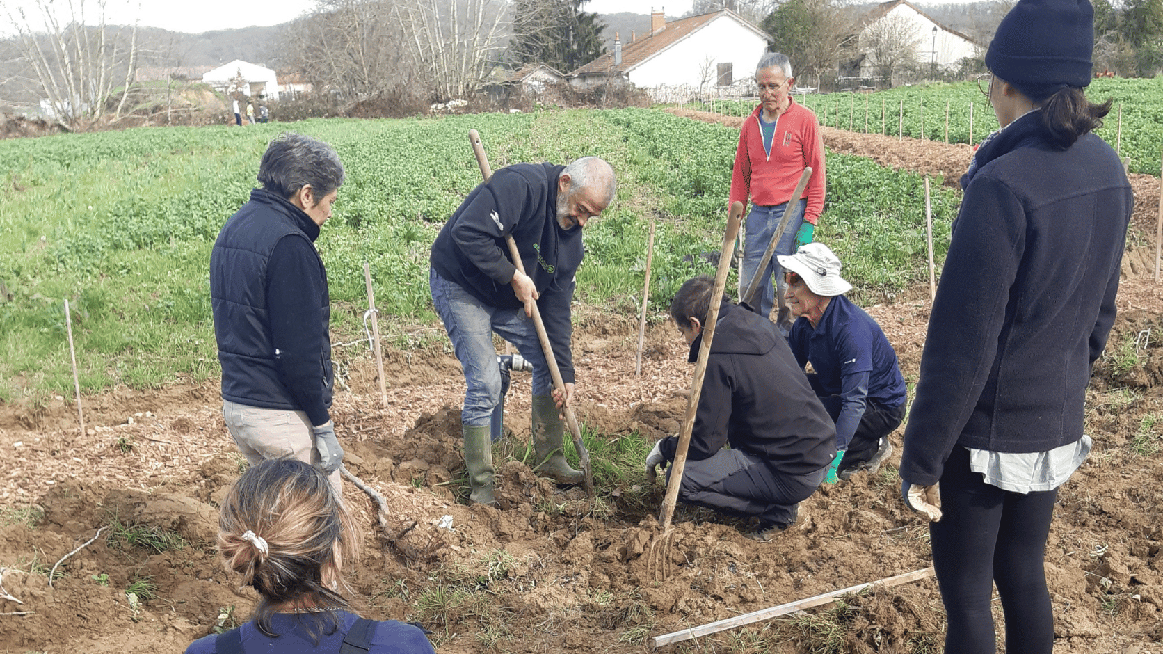 Plantation en cours dans le Gers chez Marie-Claire Gotti.