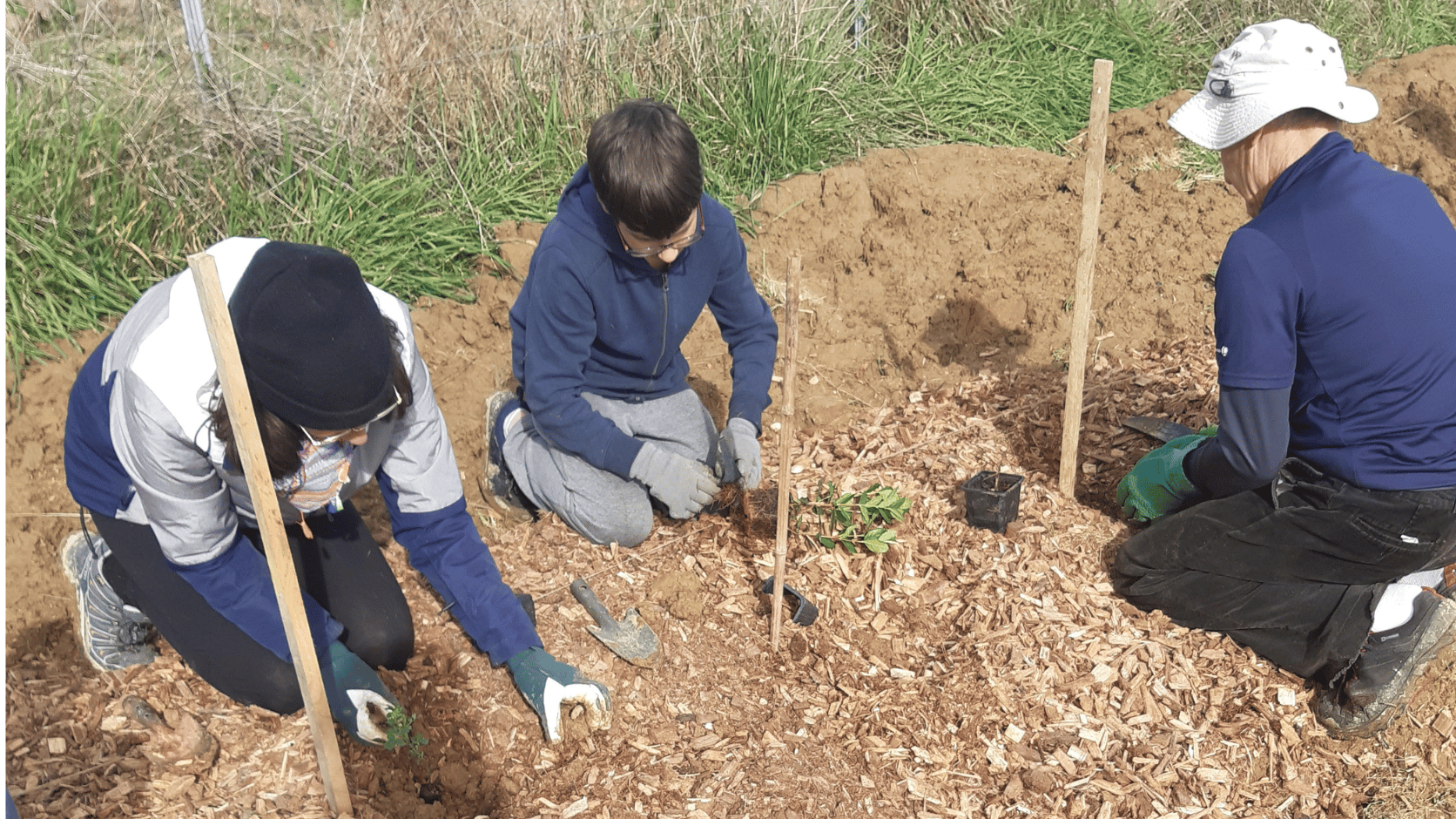 Plantation en cours chez Marie-Claire Gotti.