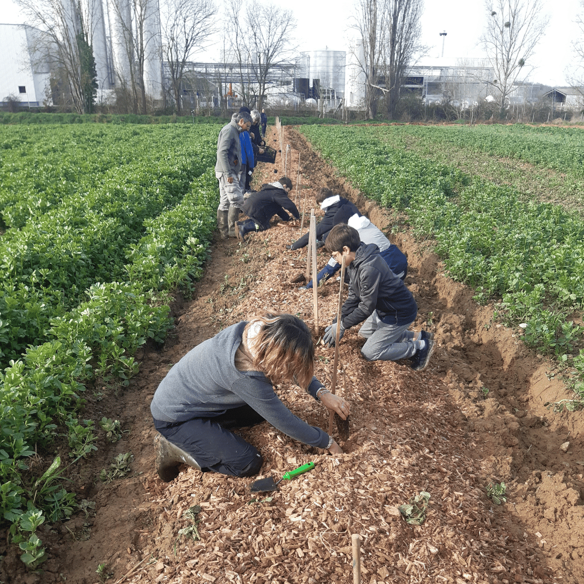 Groupe en train de planter chez Marie-Claire Gotti.