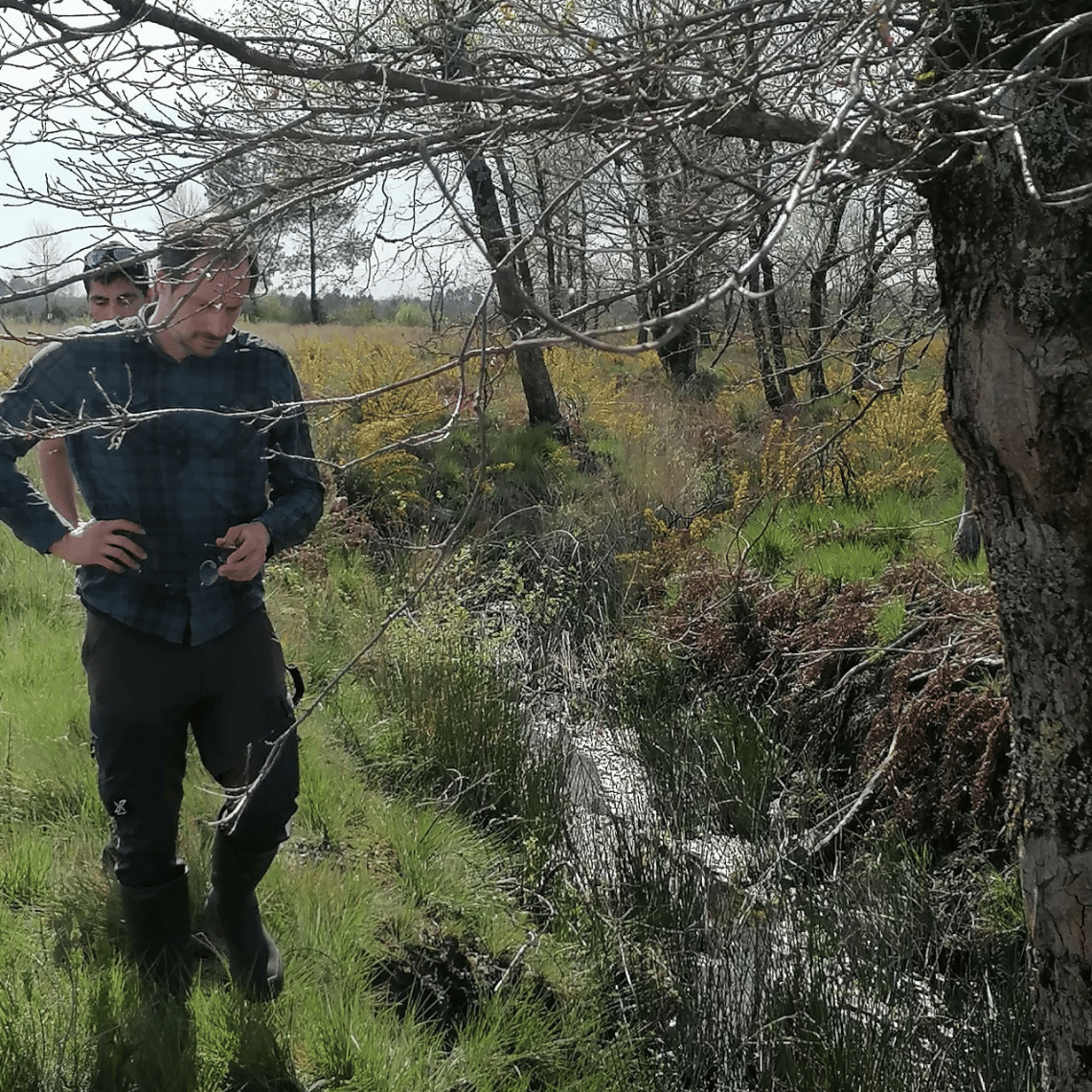 Rencontre Association Française d'Agroforesterie, Société Forestière
