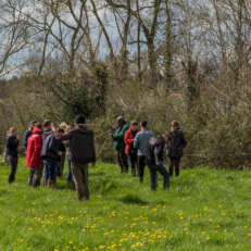 Groupe dans les champs