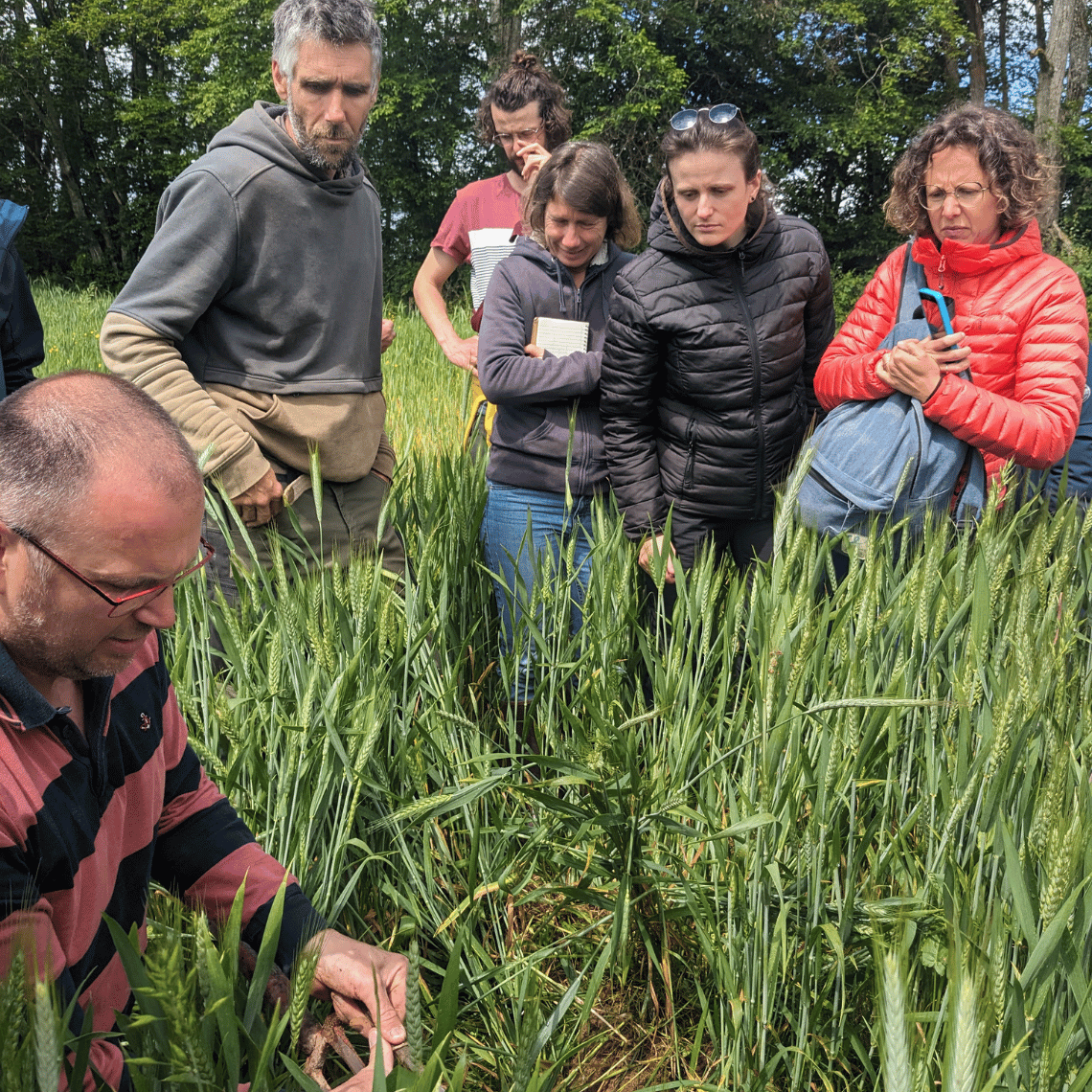 Les stagiaires de l'EFA sur le terrain