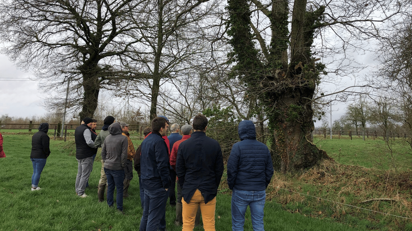 Groupe en formation sur le fourrage ligneux.