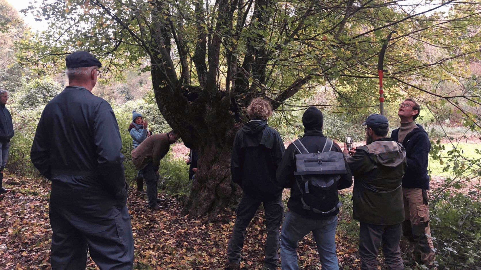 Groupe en formation sur la trogne.