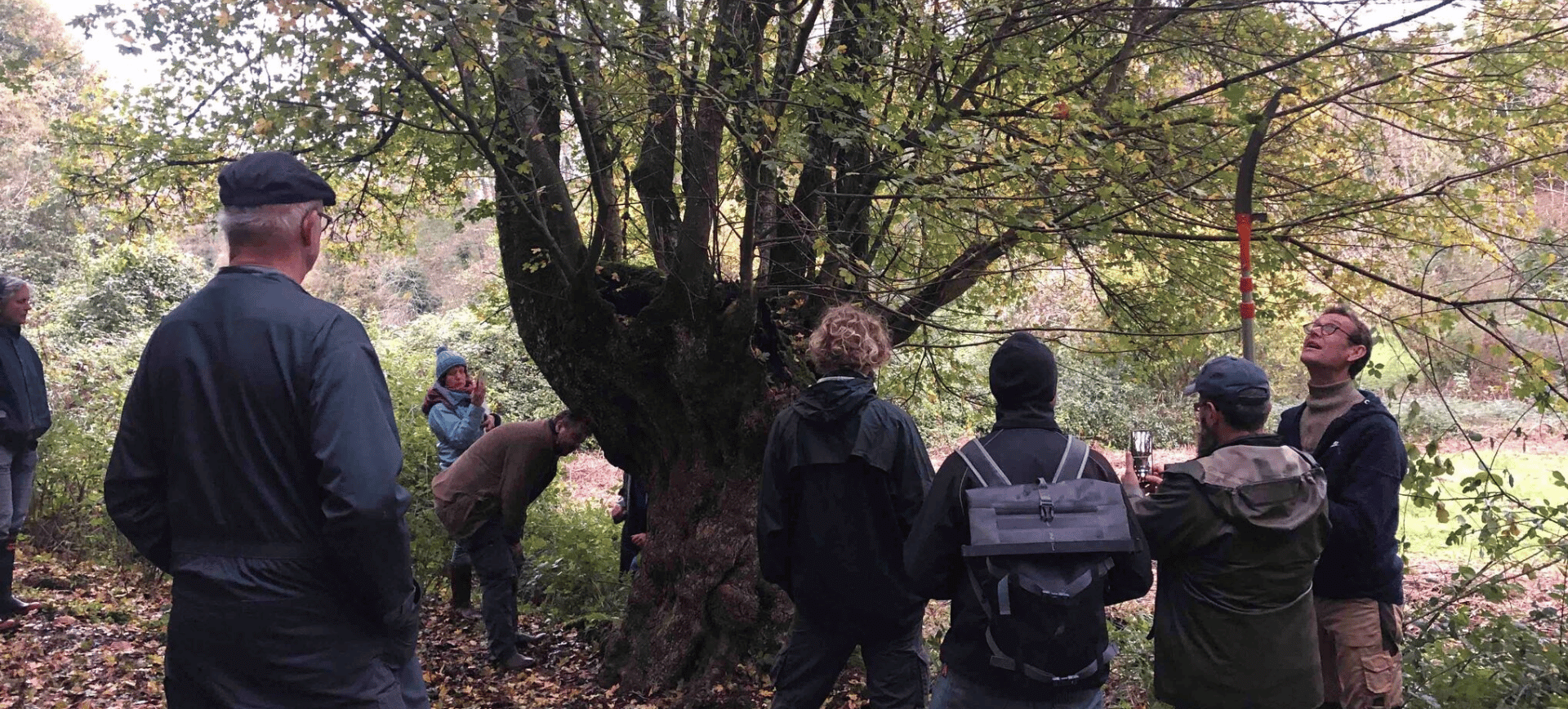 Groupe en formation sur la trogne