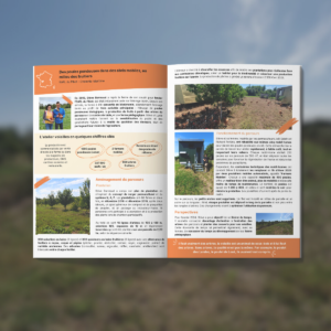 Livret exemples de parcours volailles agroforestiers
