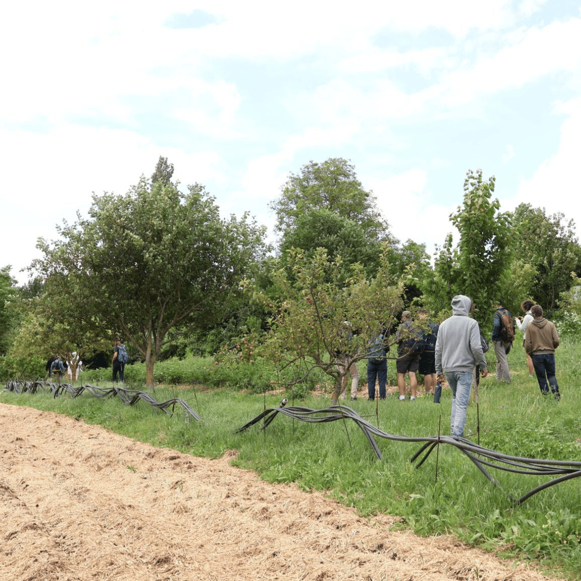 Stagiaires EFA dans la Drôme