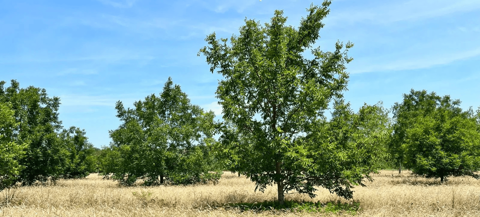 Conférence agroforesterie Chartres Métropole