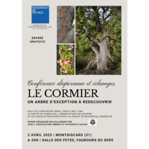 Affiche conférence sur le cormier
