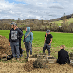Plantation chez Jodael