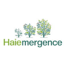 logo haiemergence