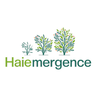 logo haiemergence