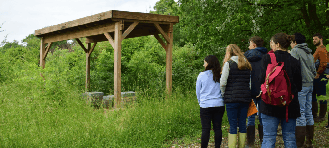 Groupe et ruches