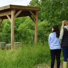 Groupe et ruches