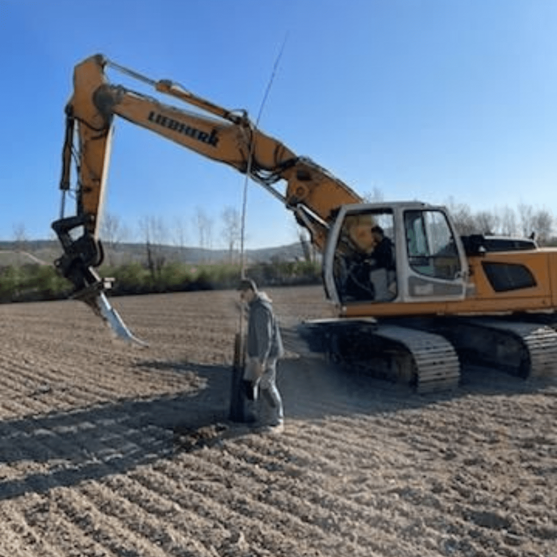 Plantation peupliers