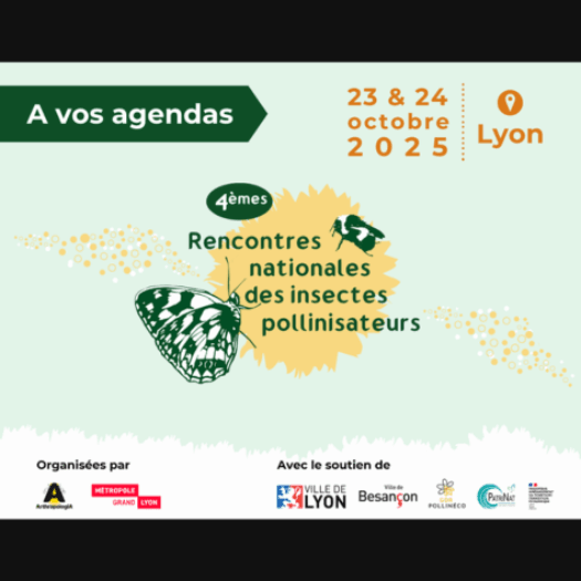Rencontres nationales des insectes pollinisateurs