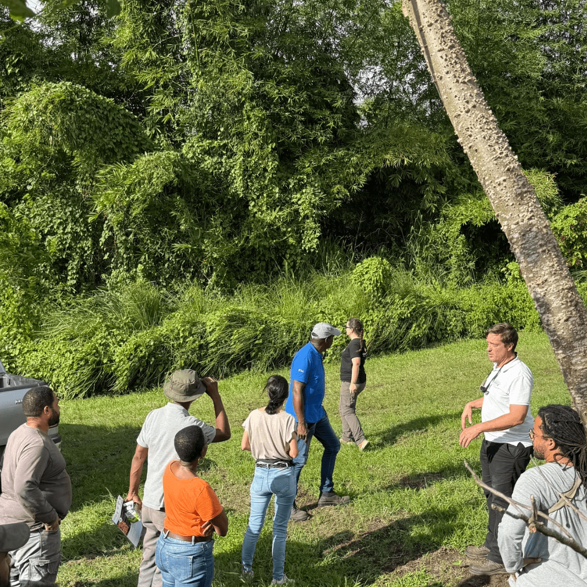 image formation agroforestier