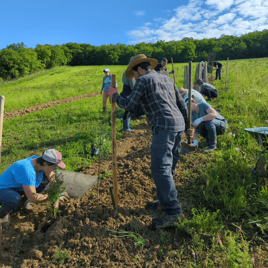 Plantation chez Valentin